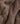Short cable-knit cashmere sweater - Havana Brown